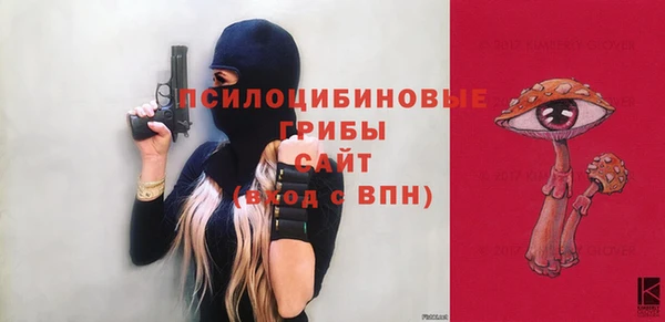 гидропоника Надым