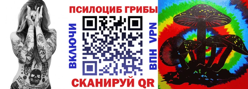дарк нет официальный сайт  купить закладку  Никольское  Галлюциногенные грибы прущие грибы 